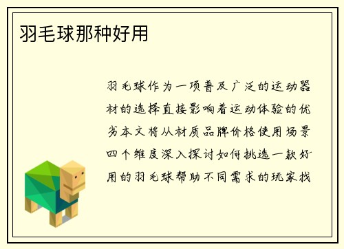 羽毛球那种好用